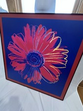 35w x35h daisy for sale  Chicago