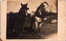Rppc postcard pulling for sale  Oconto