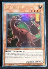 Rex gigante ultra usato  Venezia