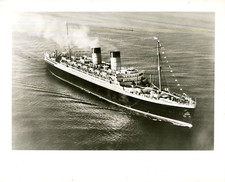 1950s press photograph for sale  SALISBURY