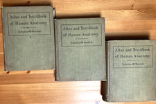 ALTAS and TEXTBOOK of HUMAN ANATOMY-SOBOTTA & Mc MURRICH-3 VOLUMES-1909-RARE comprar usado  Enviando para Brazil