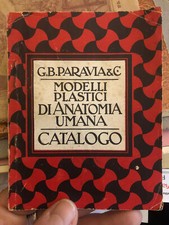anatomia umana usato anatomia umana usato Roma