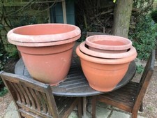Large plastic plant for sale  YORK