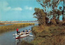 Cartolina siracusa fiume usato  Milano