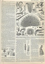 Gravure presse embouts d'occasion  France