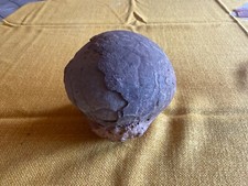 Dinosaurier fossil 11cm gebraucht kaufen  Gladbeck