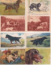 Animali cani varie usato  Roma