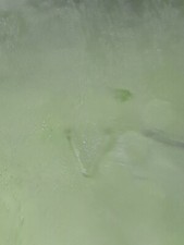 Taupe sage green for sale  Central