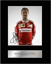 Poster sebastian vettel usato  Italia