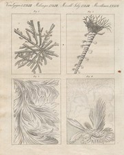 Ventana Cristal Hielo Congelado Plano Bertuch 1800 comprar usado Ventana Cristal Hielo Congelado Plano Bertuch 1800 comprar usado  Enviando para Brazil