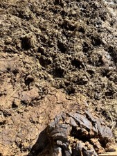 Low price manure for sale  Andover