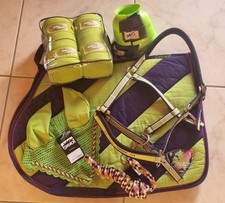 Eskadron limegreen set gebraucht kaufen  Puderbach