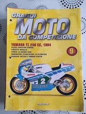 Fascicolo edicola grandi usato  Sanremo