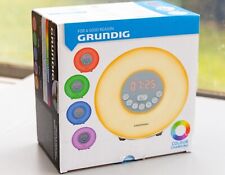 Grundig lichtwecker tageslicht gebraucht kaufen  Öhningen