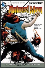 Animal man splinter usato  Messina