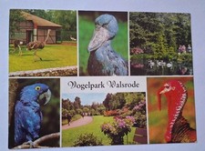 Vogelpark walsrode vögel gebraucht kaufen  Hamburg