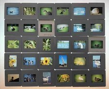 100 vintage 35mm for sale  BOGNOR REGIS