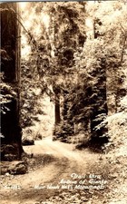 Trail thru avenue for sale  Southampton