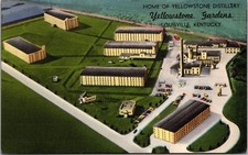 Postcard louisville yellowston for sale  USA