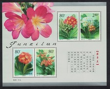 China clivia flowers d'occasion  Expédié en Belgium