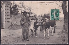Cpa attelage vaches d'occasion  Saint-Denis