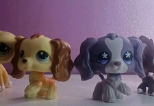 Lps authentic littlest for sale  North Las Vegas