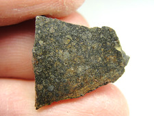 Nwa 6550 meteorite for sale  Hebron