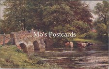 Surrey postcard somerset for sale  WATERLOOVILLE