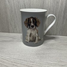 Cancer research bone for sale  SWINDON