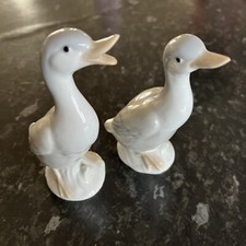 John jenkins ducks for sale  ORPINGTON