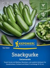 Kiepenkerl snackgurkensamen sa gebraucht kaufen  Aurich