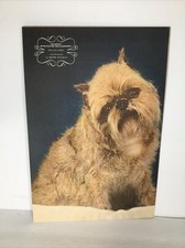 1943 dog canine for sale  Rochester