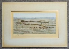 Cecil aldin pencil for sale  CIRENCESTER