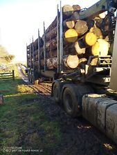 Dennison timber trailer for sale  CHATHILL