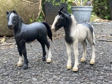 equorum for sale equorum for sale PITLOCHRY