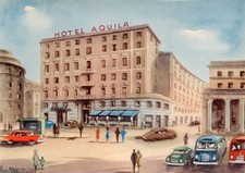 aquila reale usato aquila reale usato  Corinaldo