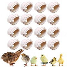 Quail baby chick for sale  Moses Lake