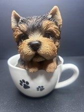 Teacup pups yorkshire for sale  Burlington