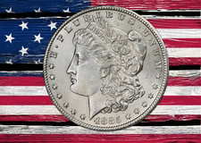 1885 morgan silver for sale  USA