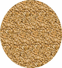 Plain canary seed for sale  LEIGHTON BUZZARD
