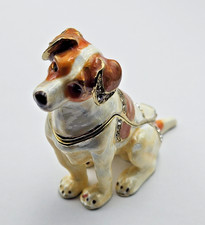 Chien jack russel d'occasion  Bourg-de-Péage