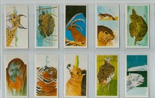Brooke bond. issue. for sale  WITNEY