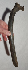 Bison rib bone for sale  Glenwood