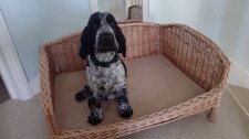 Large wicker dog for sale  DORKING