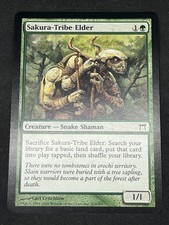 Magic gathering mtg for sale  STONE