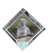 Tosa Inu ,Tosa-Hund - Cubi Cristallo Con Immagine,Quadro Cavallo IN na sprzedaż  PL