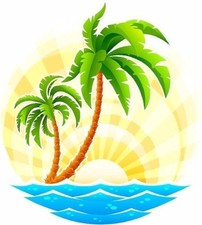 Adesivo de cena de palmeira tropical campista trailer motor home mural gráfico, usado comprar usado  Enviando para Brazil