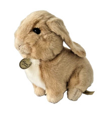 Miyoni lop eared for sale  Pompano Beach