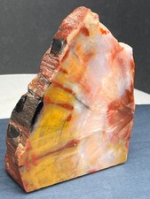 Arizona rainbow petrified for sale  La Mesa