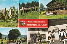 Cartolina 2418 foresta usato  Unsere Liebe Frau im Walde St Felix